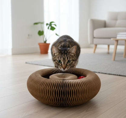 Twisty Paws